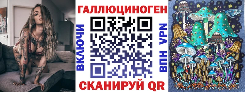 Купить Североморск Псилоцибиновые грибы Psilocybine cubensis