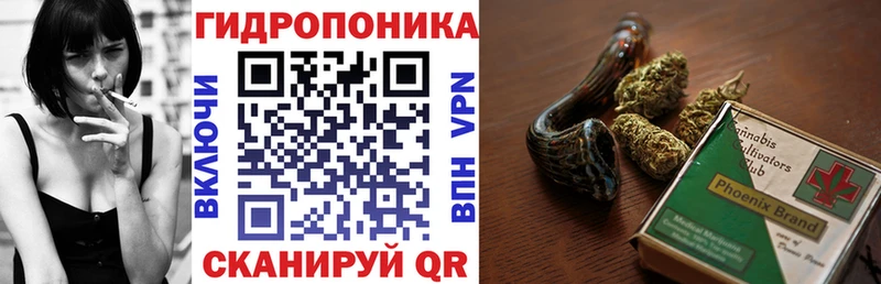 Купить  Североморск  Каннабис индика 